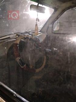 ليفان فويسون